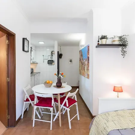 Host Wise - Cool Flat - Center Near Aliados Daire