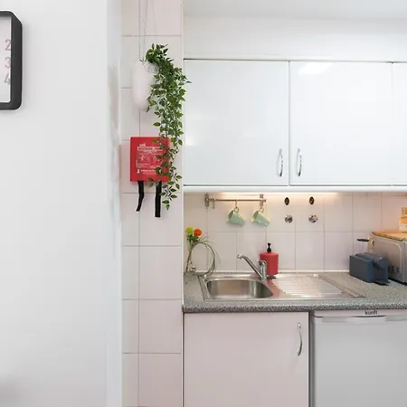 Host Wise - Cool Flat - Center Near Aliados Daire