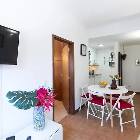 Host Wise - Cool Flat - Center Near Aliados Daire *